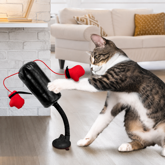 Cat Punching Bag Toy - Interactive Boxing Game With Gloves